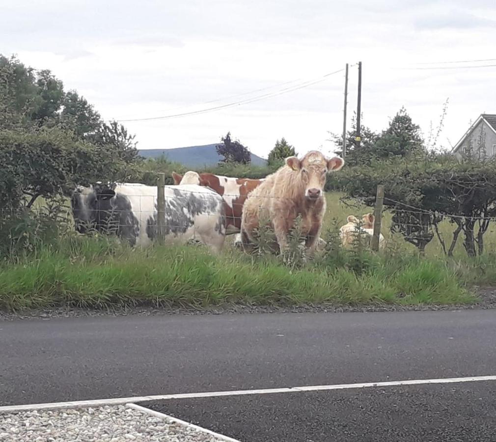 Mountain View Cottage Limavady Εξωτερικό φωτογραφία